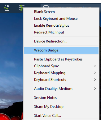 Wacom Bridge.PNG