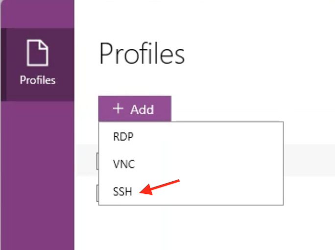 SSH profile entry_en-US.png